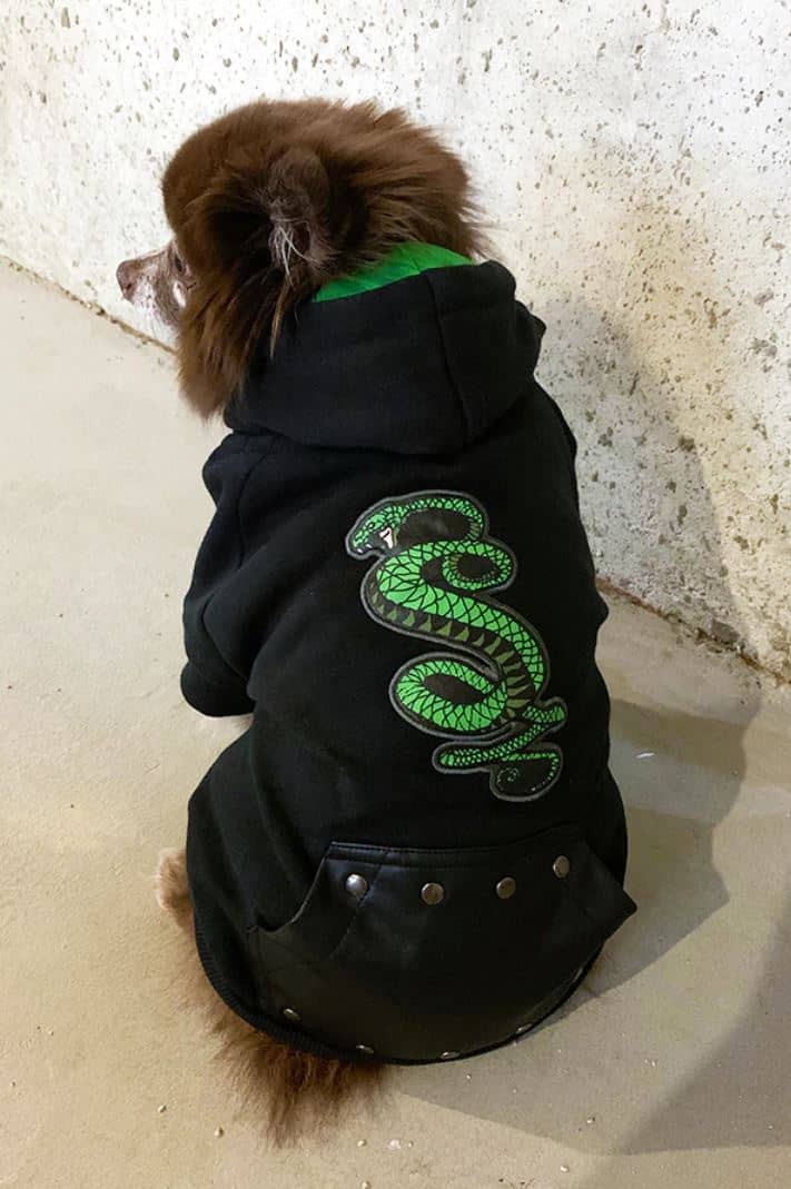 Tunnel Snake Dog Hoodie